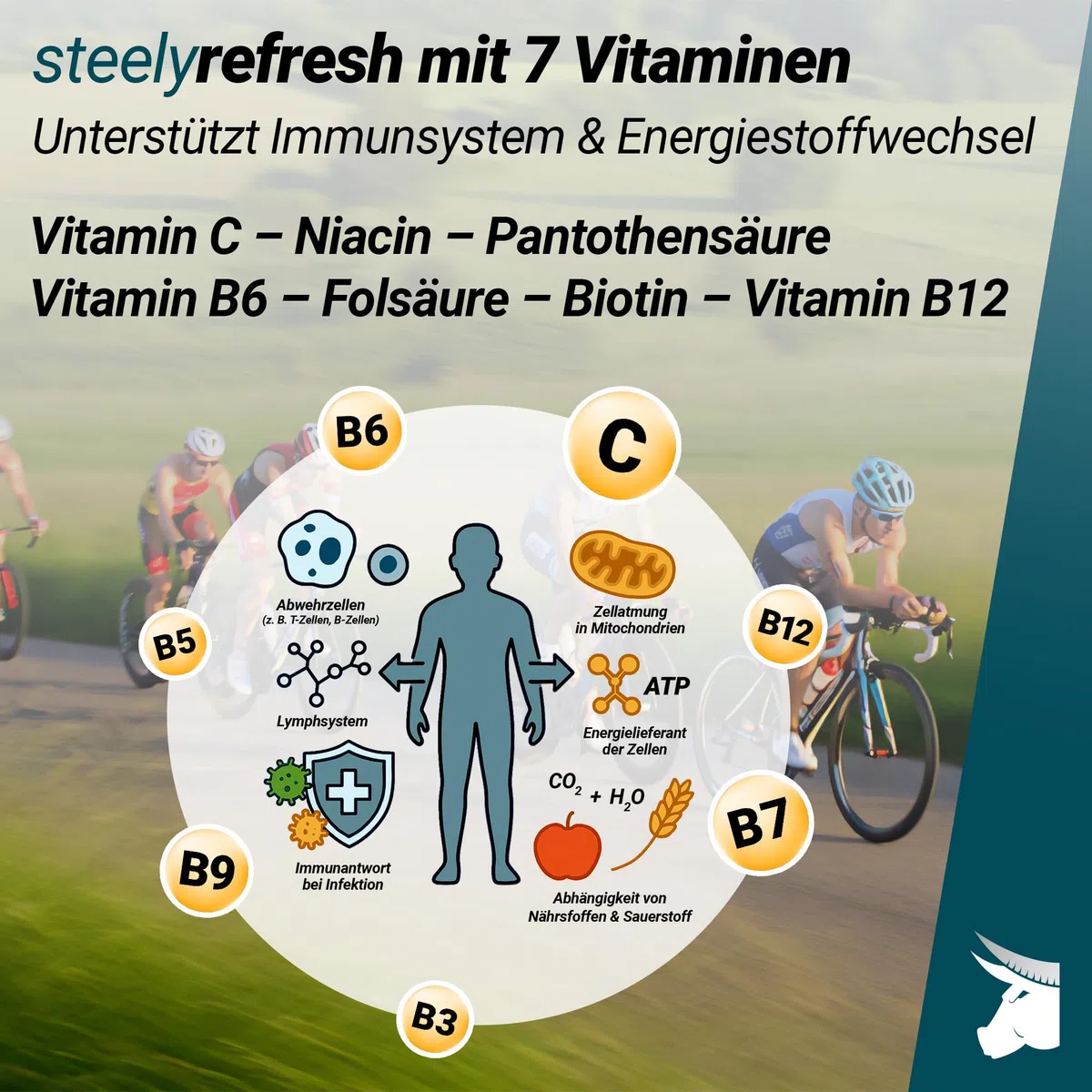 Sportgetränk Sirup zuckerfrei mit Vitaminen | SteelyRefresh Geschmack: Waldmeister| 1 Liter Getränkesirup von STEELY SPORTS | für 80L fertiges Getränk | perfekt für Training & Hydration