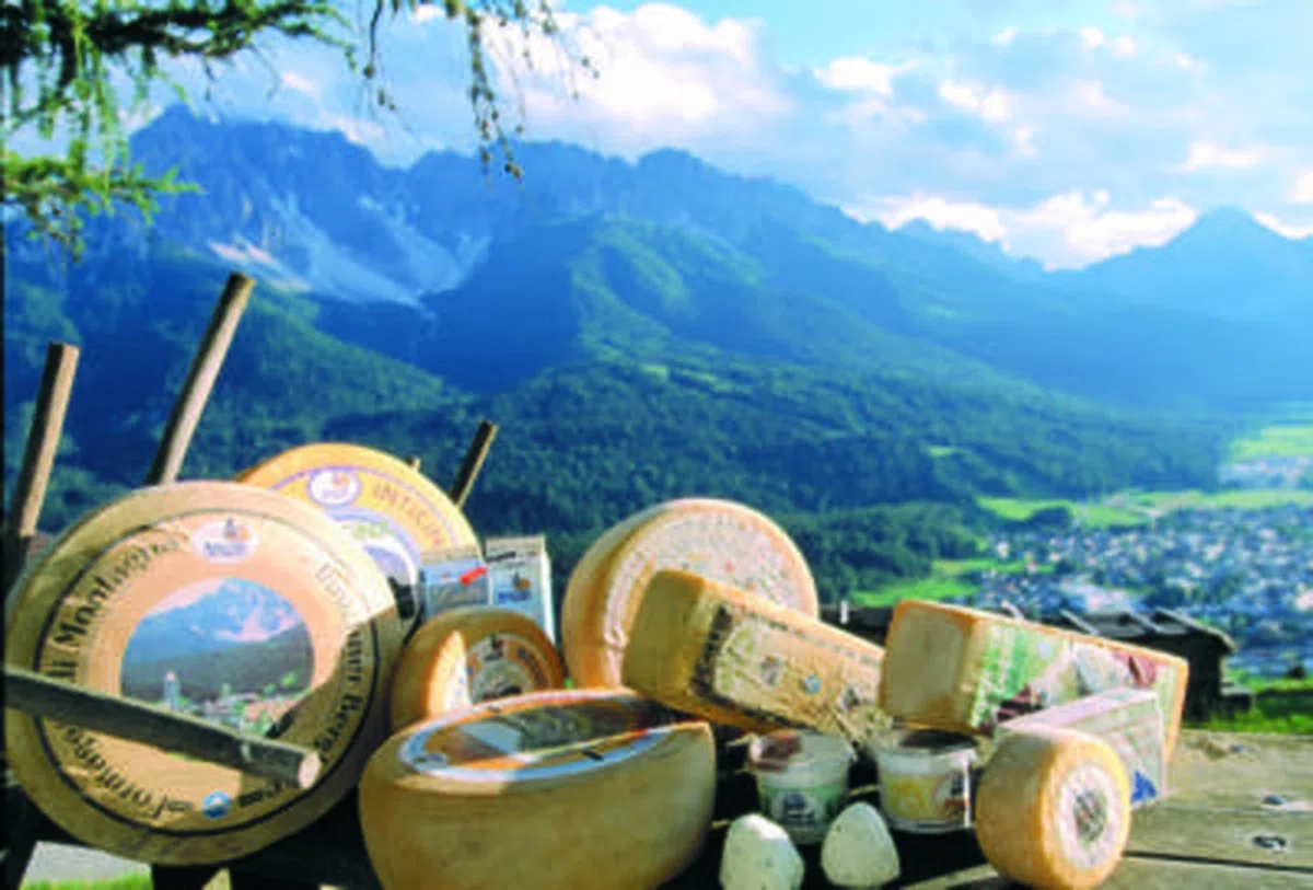 Innichner Bergkäse ganze Form ca. 11 kg.