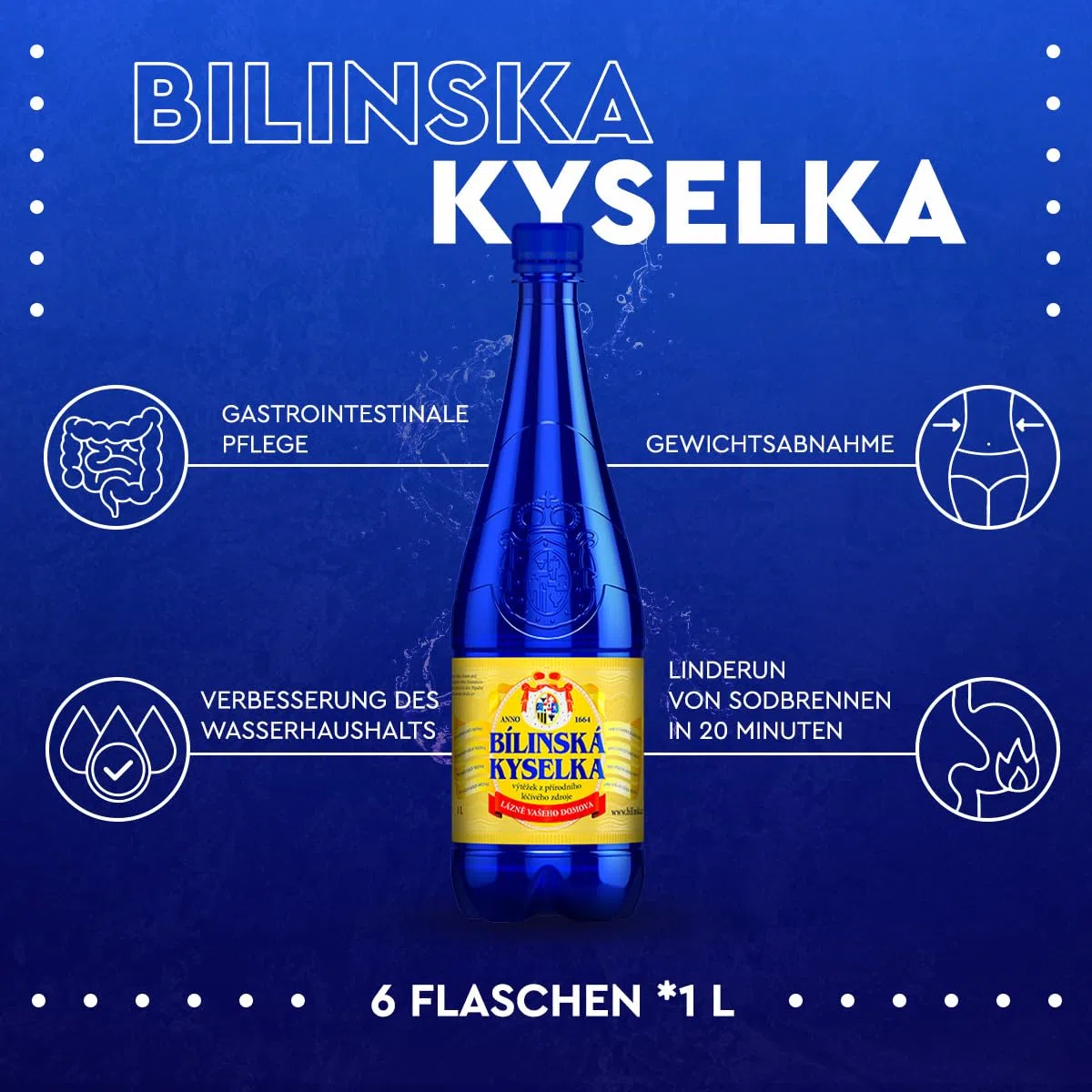 Bilinska Kyselka Mineralwasser aus der Tschechischen Republik - Natürliches medizinisches Tafel Medium Wasser - Natriumbikarbonatwasser mit mittlerer Mineralisierung - 6er Packung, je 1 l