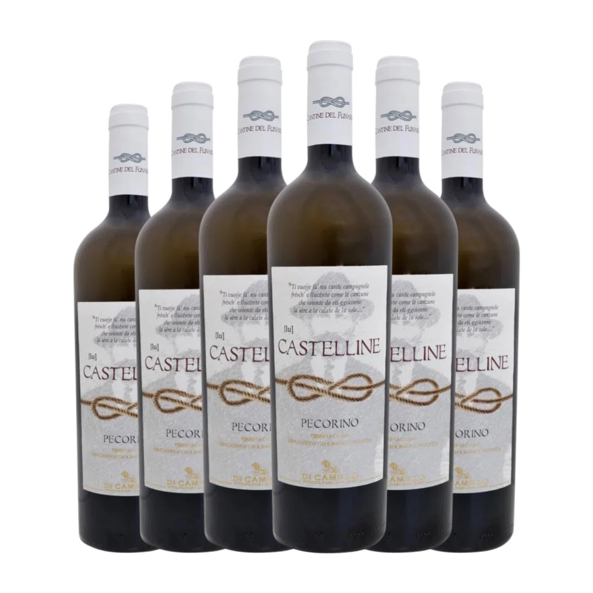 Cantine del Funaro Lu Castelline Pecorino Terre di Chieti 75 cl Weißwein (Karton mit 6 Flaschen von 75 cl)