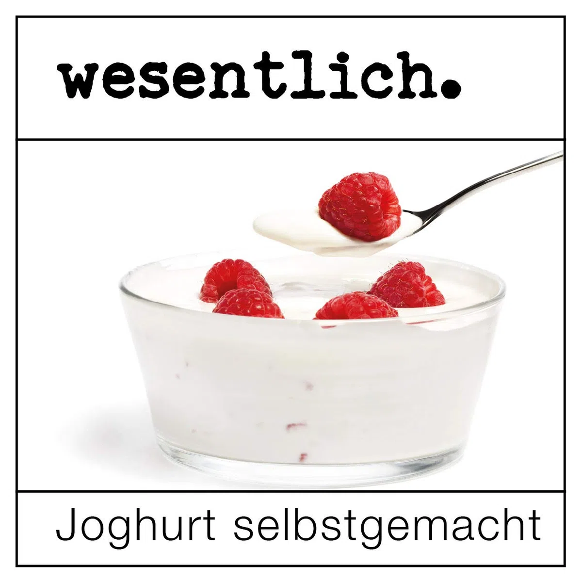 3er Set Joghurtkultur 3x2g wesentlich