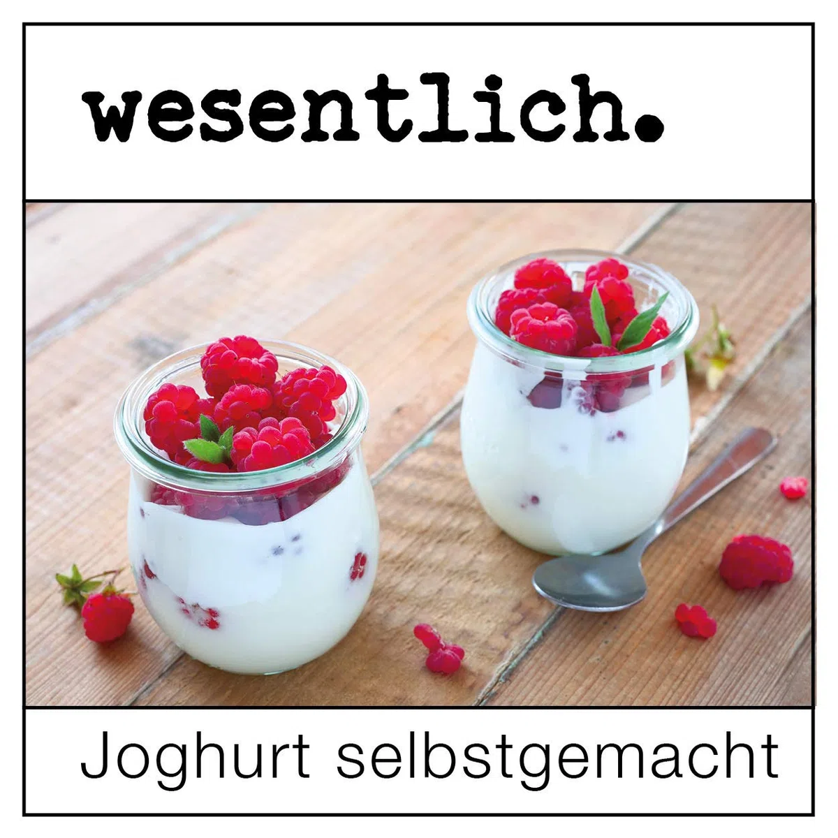 3er Set Joghurtkultur 3x2g wesentlich