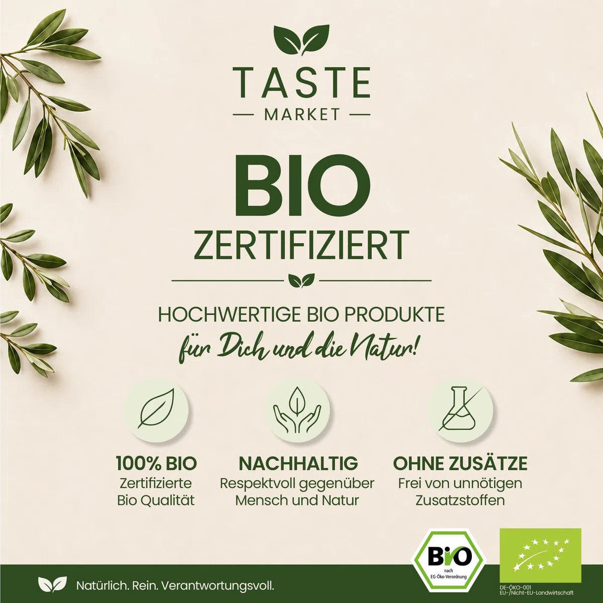 10 kg BIO Cashewkerne |kontrolliert biologischen Anbau | Naturprodukt | TASTE MARKET