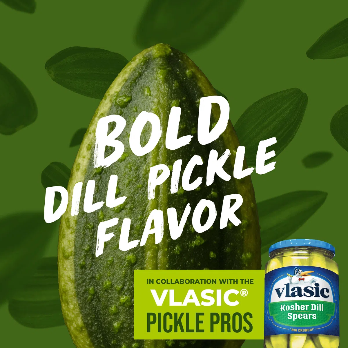BIGS Vlasic Dill Pickle Sunflower Seeds, 5.35-Ounce Bags (Pack of 12) by Naruekrit