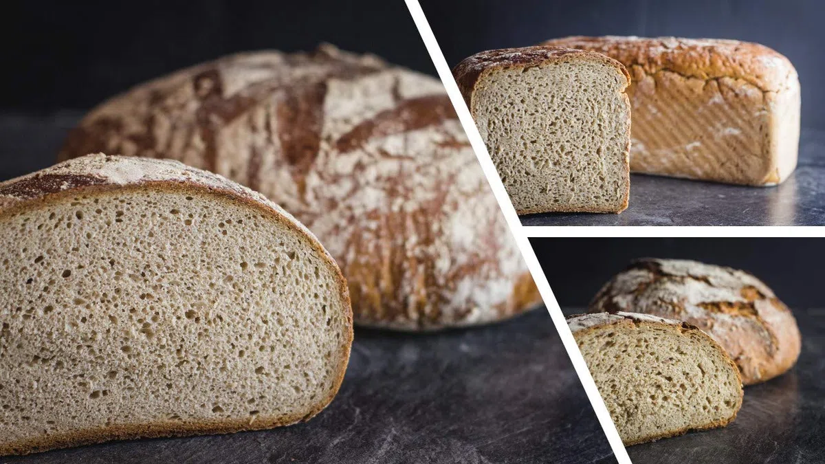 Vestakorn Handwerksbrot, Roggenbrot Auswahl - frisches Brot - 3 verschiedene Roggen & Roggenmischbrote vom Handwerksbäcker zum selbst aufbacken in 10 Minuten