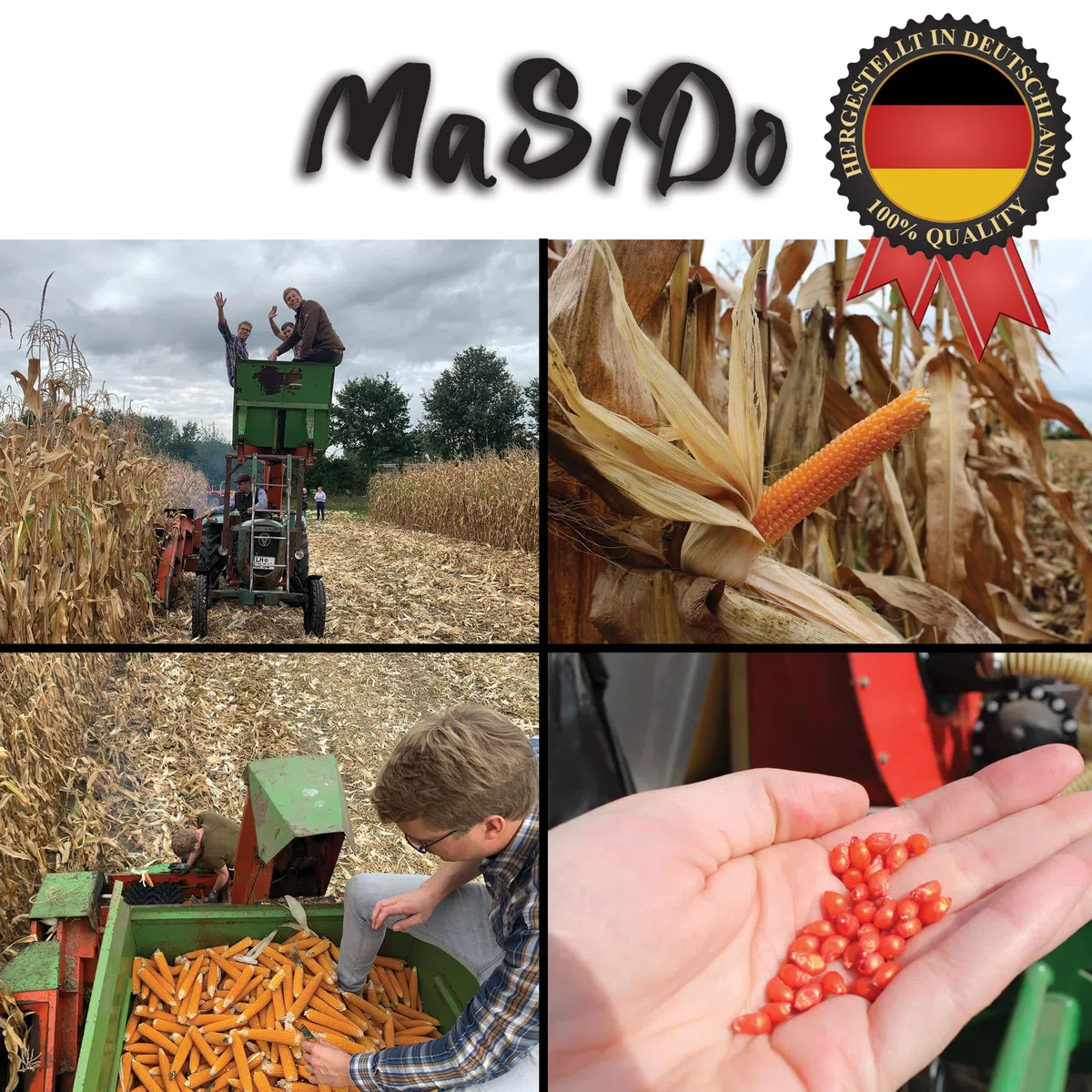 MSD MaSiDo süßes Premium Popcorn Mais aus Deutschland, Butterfly Mais Vorratspack, ohne Gentechnik, glutenfrei, laktosefrei (2x 0,5 kg Packung süß)