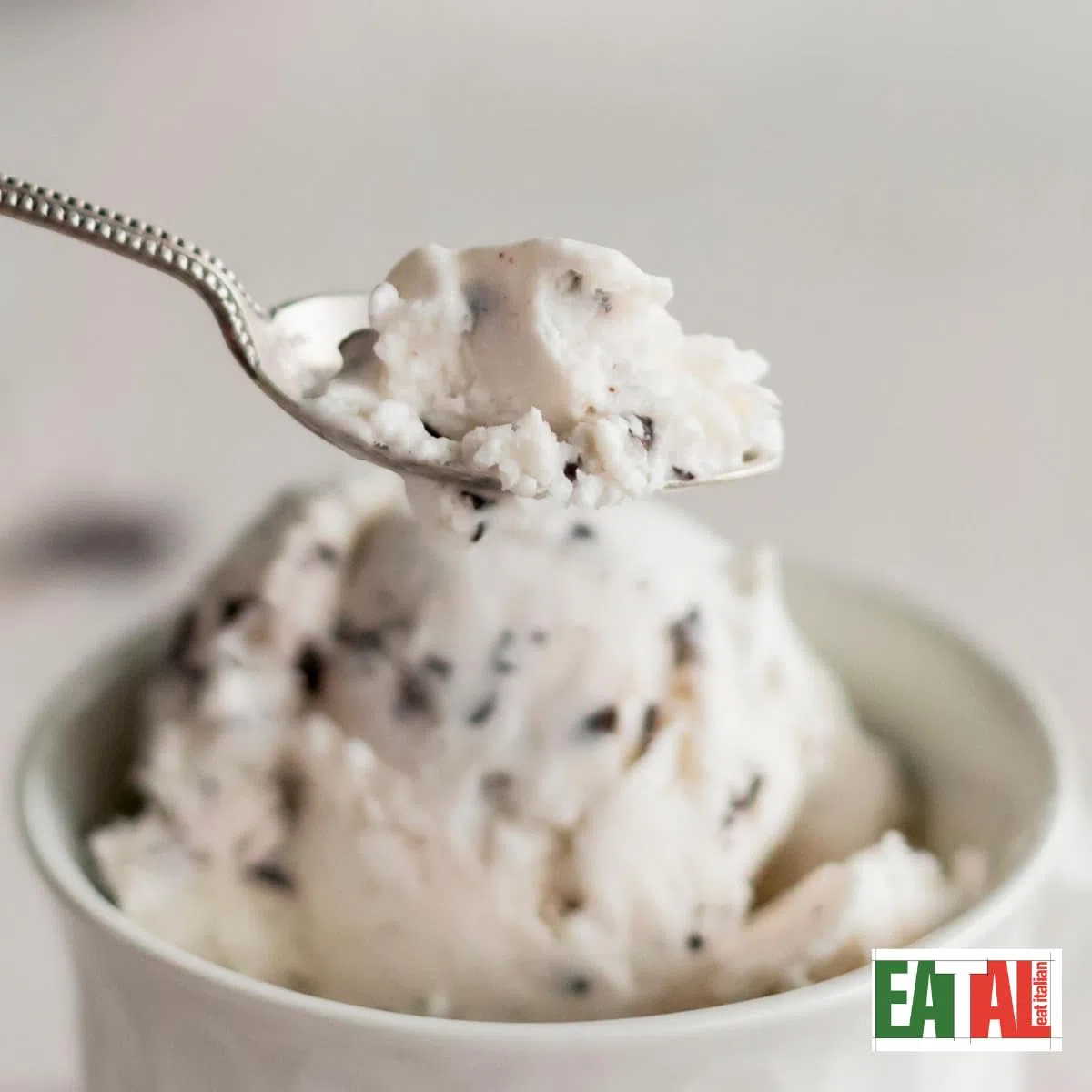 EATAL Eispaste STRACCIATELLA- Eisaroma - Aromapaste | mit nur 4 Zutaten leckeres Eis zubereiten | 300 g