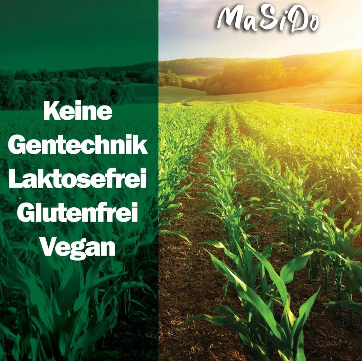 MSD MaSiDo süßes Premium Popcorn Mais aus Deutschland, Butterfly Mais Vorratspack, ohne Gentechnik, glutenfrei, laktosefrei (2x 0,5 kg Packung süß)