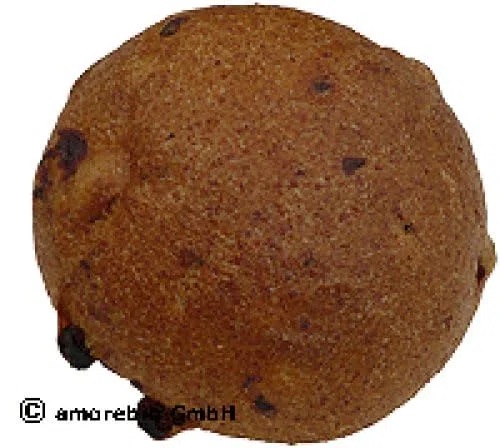 Vollkornbäckerei Fasanenbr Bio Rosinenbrötchen (6 x 1 Stk)